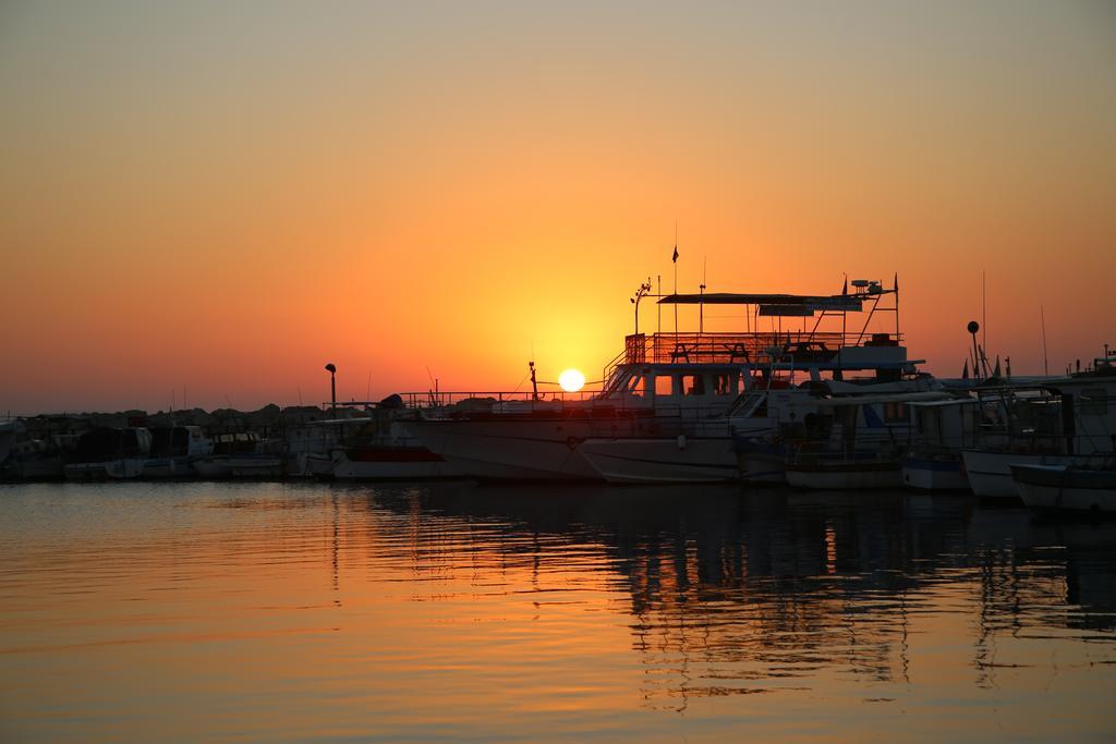 Isavella Apartments Makenzy Larnaca Oda fotoğraf